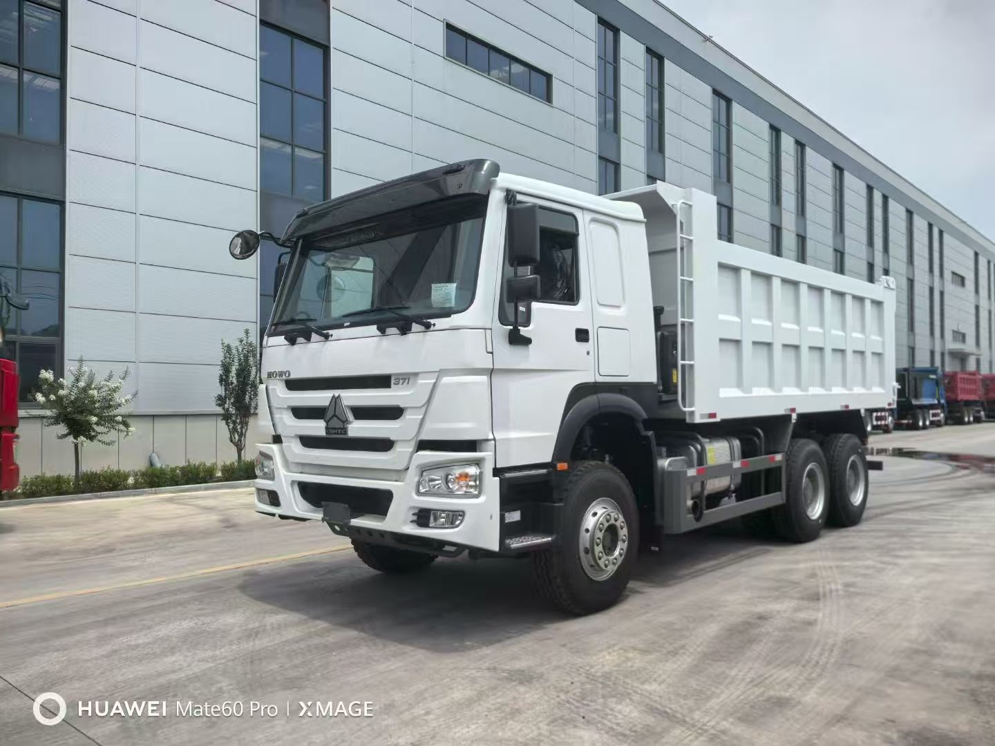 Sinotruk Howo Trucks
